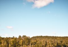 일상 속 작은 변화가 만드는 직장인 건강 트렌드…실천 가능한 루틴에 주목 a woman standing on a rock near a body of water