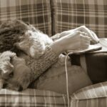 바쁜 일상 속 스트레스, ‘작은 루틴’으로 풀다 a dog laying on a couch