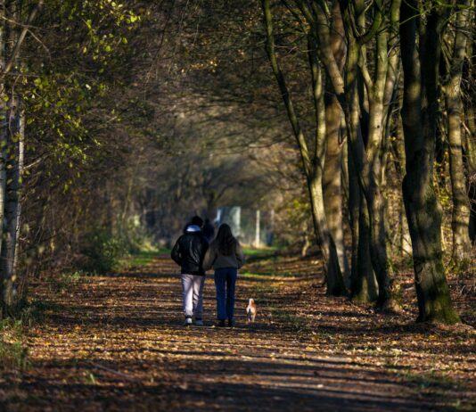 ‘마음 챙김 걷기’로 찾는 내 몸과 마음의 여유…일상 속 실천법 인기 Two people walking down a path in the woods