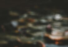 “마음 챙김 명상, 현대인의 건강 동반자로 떠오르다” pink and white lotus flower