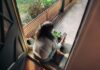 만성피로, 작은 습관 변화로 극복… 한국 일상을 위한 실천 전략 Woman sitting on balcony with smartphone