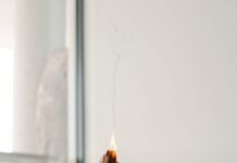 일상 속 ‘정신건강 챙기기’, 작지만 강한 생활의 변화가 답이다 person holding orange flower in front of white wall